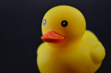 Rubber duck on black background