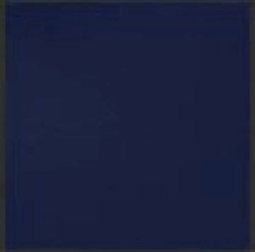 Deluxe Chess Set Combination - Solid Plastic Regulation Pieces | Vinyl Chess Board | Deluxe Bag