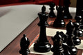 The Wild Knight Series Chess Set, Box, & Board Combination