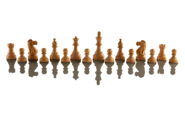 Millennium Supreme Tournament 55 Electronic Chess Board