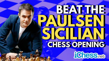 CLEARANCE - 80/20 Tactics Multiplier - The Paulsen Sicilian - GM Rashad Babaev - Volume 12