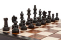 The Brown Magnetic Chess Set
