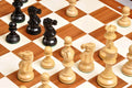 The Grandmaster Series Chess Pieces - 4.0