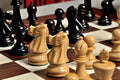 The Wild Knight Series Chess Set, Box, & Board Combination