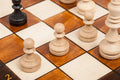 The Brown Magnetic Chess Set