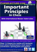E-DVD Important Principles in Chess - Chess Lecture - Volume 156