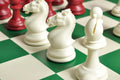 The Hastings Series Plastic Chess Pieces - 3.875