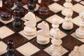 The Small Olympic Chess Set - Brown
