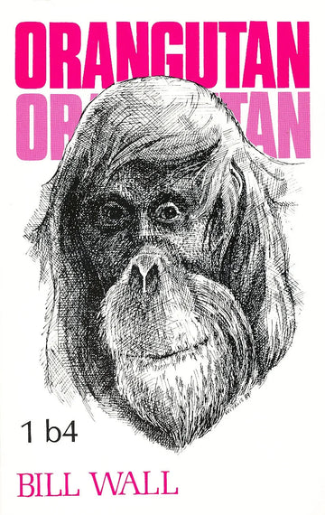 CLEARANCE - Orangutan