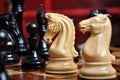 The Supreme Collector Series Luxury Chess Pieces - 4.4