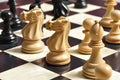 The Wild Knight Series Chess Pieces - 3.75
