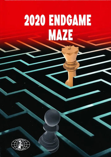 2020 Endgame Maze