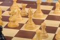 PRE-ORDER - The DGT Projects Enabled Weighted Electronic Chess Pieces - Drueke Players Choice Series - 3.75
