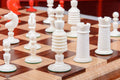 The Washington Luxury Bone Chess Pieces - 4.4