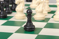 The Knight Templar Series Plastic Chess Pieces - 3.75