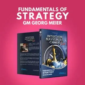 CLEARANCE - Intuition Navigates Chaos - Turbo - Fundamentals of Strategy - GM Georg Meier