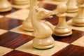 The Hastings Series Luxury Chess Pieces - 4.0
