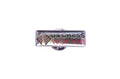US Chess Women Pin