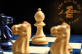 The Grandmaster Chess Set, Box, & Board Combination - Blue Gilded