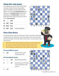 Coach Jay's Chess Academy - #3 Orange Belt Lessons
