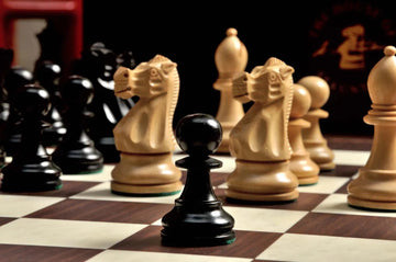 The Wild Knight Series Chess Set, Box, & Board Combination