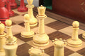 The Large Classical Staunton Series Chess Set, Box, & Board Combination