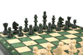 The Green Magnetic Chess Set