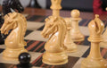 The 2025 Saint Louis Rapid & Blitz Player's Edition Series Chess Pieces