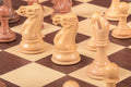 PRE-ORDER - The DGT Projects Enabled Electronic Chess Pieces - Professional Series - 3.75
