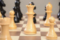 FIDE Official World Championship of Chess Series Pieces-3.75