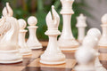 PRE-ORDER - The Mammoth Ivory Collector Series Luxury Chess Pieces - 4.4