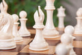 The Mammoth Ivory and Genuine Ebony Collector Series Luxury Chess Pieces - 4.4