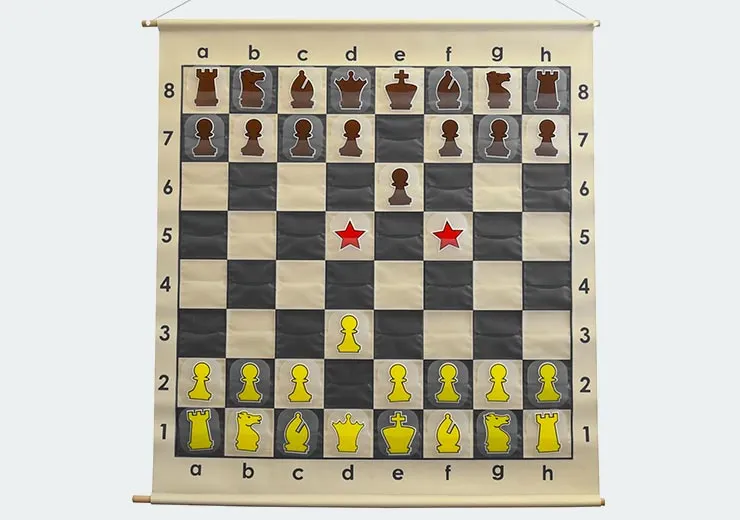 Chess Demonstration Boards