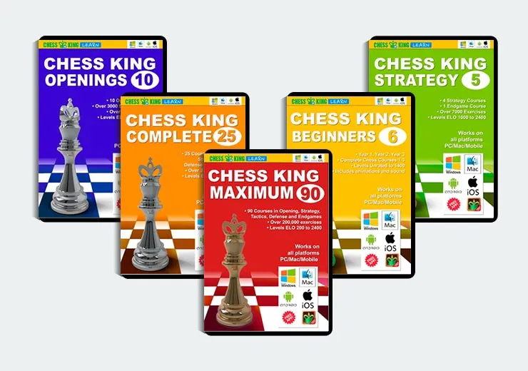 Chess Education