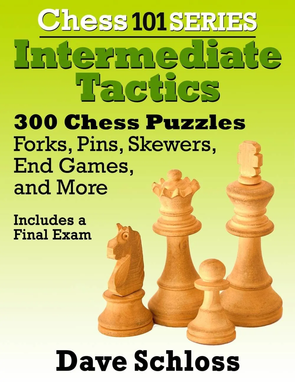 Intermediate Tactics: 50 Chess Puzzles - Skewers by Dave Schloss