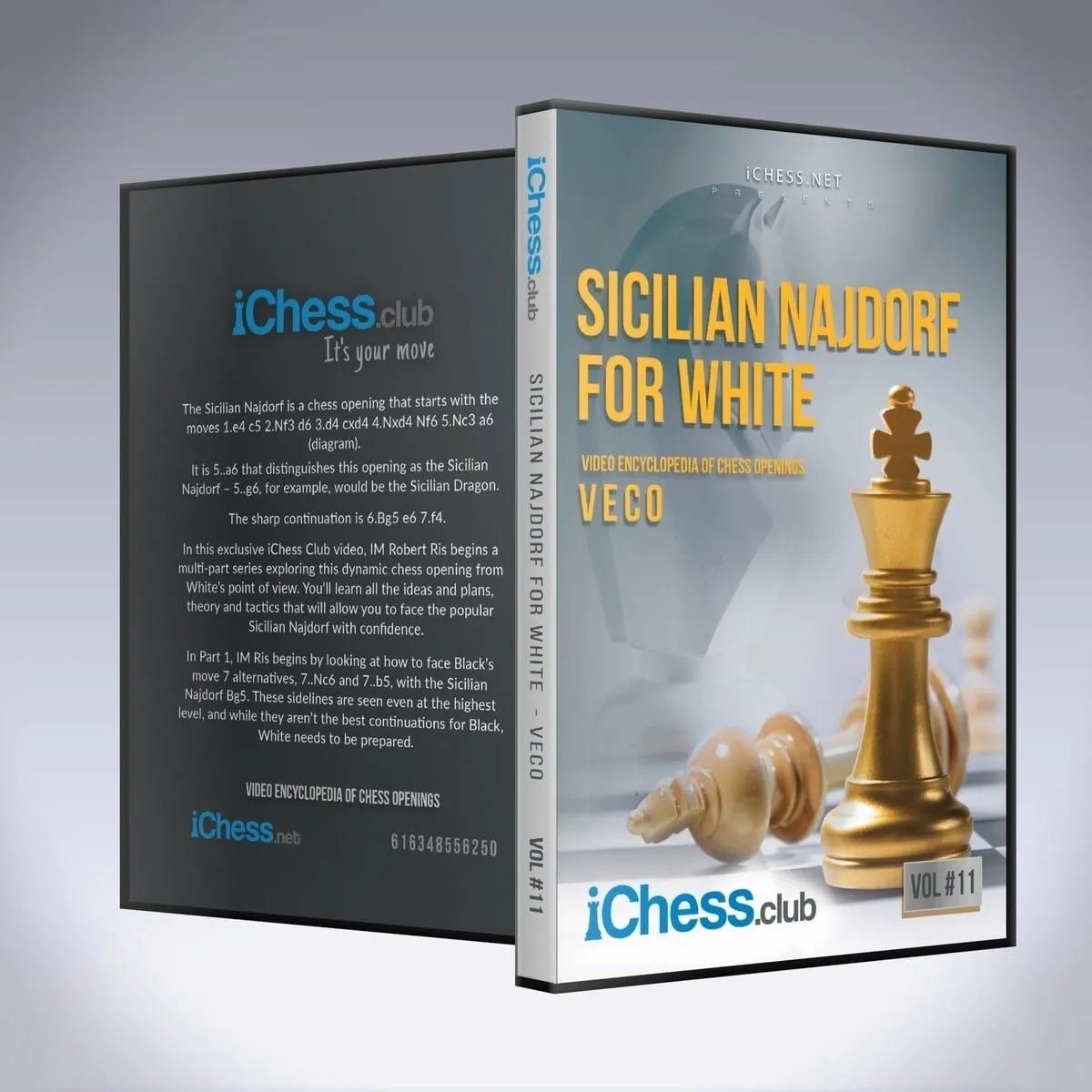 Learn the Sicilian Najdorf - Chess Lessons 