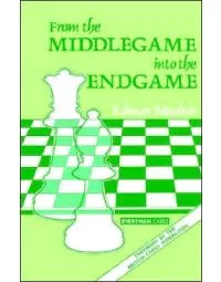 From  the Middlegame into Endgame