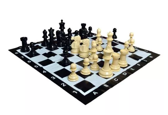 8" Plastic Garden Chess Set