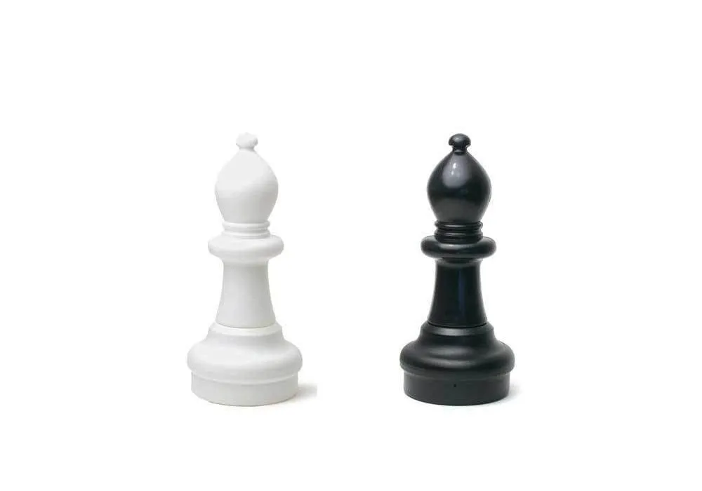 Bishop - Chess Terms 