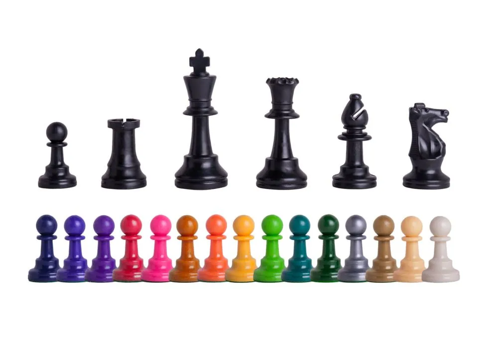 Chess Set for Students - ON SALE NOW!