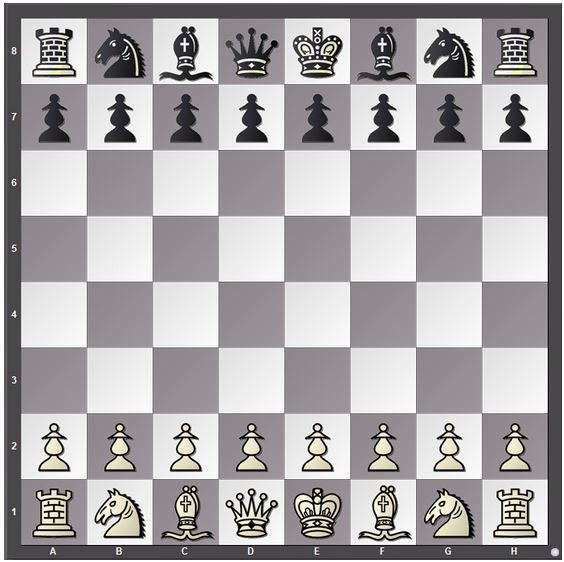 visualize a chess board with chess pieces placed in their proper initial  position in your activity notebook 