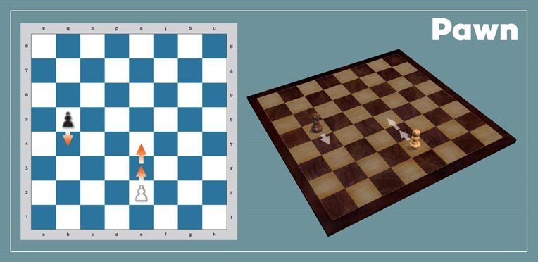 Collection of chess openings  Chess tactics, Chess board, Chess