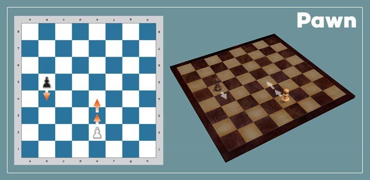 Quickly Learn How the Chess Pieces Move